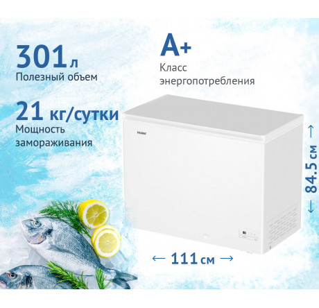 Haier HCE301R белый Морозильный ларь  HAIER - chudovo-experts.ru – фото 1