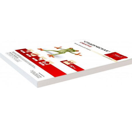 WHITE 100 Бумага A4/80г/м2/100л./белый матовое общего назначения(офисная) Creative - chudovo-experts.ru – фото 1