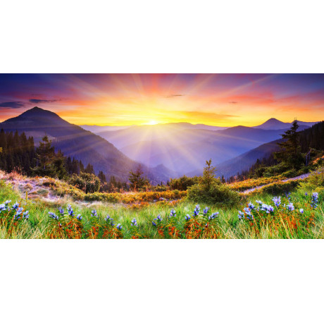 ЖК Doffler 24KH29 Doffler - chudovo-experts.ru – фото 1